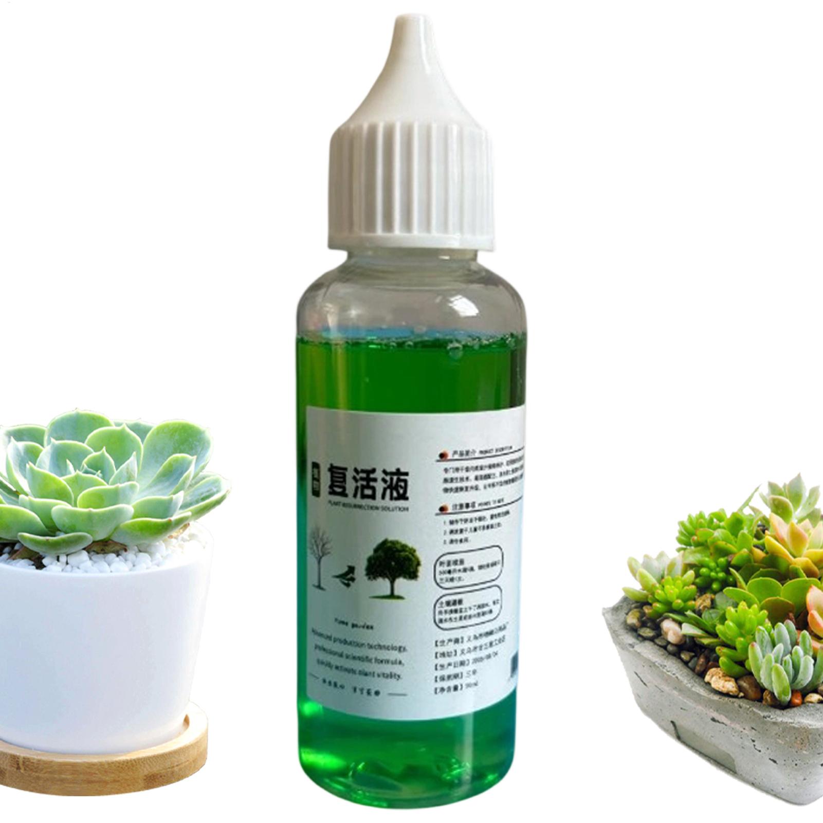 Root Stimulator Liquid - Root Stimulator for Plants Liquid Rooting