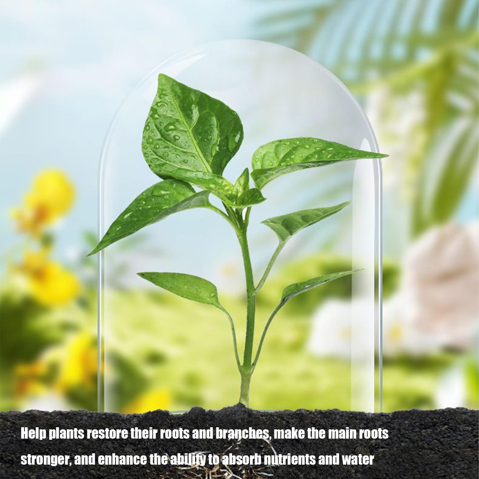 Root Stimulator for Plants Liq - Root Stimulator Liquid recension och pris