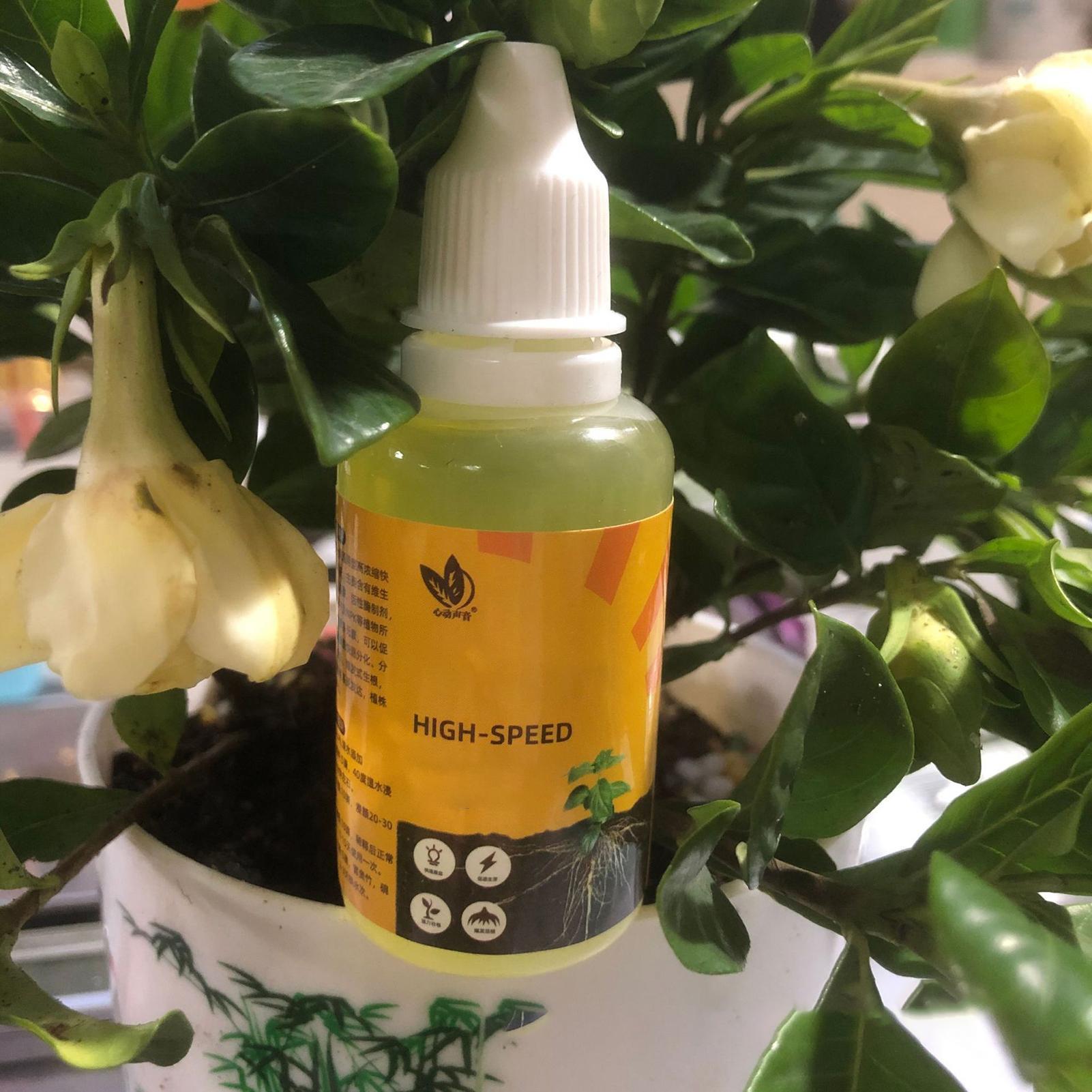 50ml Plant Rooting Stimulator  - Root Stimulator Liquid recension och pris